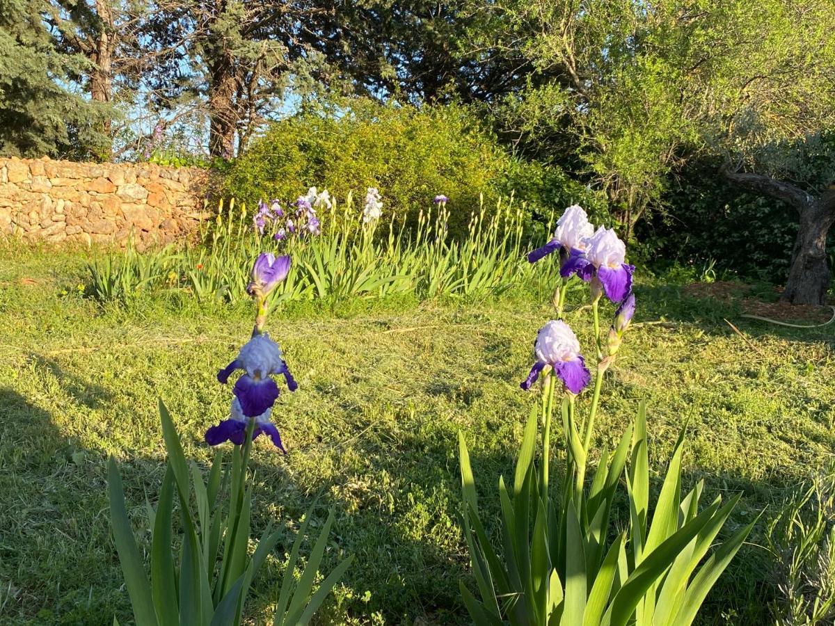 Villa Faro Provence Var Montfort-sur-Argens Buitenkant foto